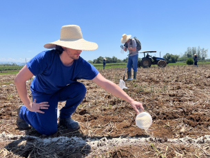Notícia - Satc será Hub Nacional de fertilizantes com foco na transição energética