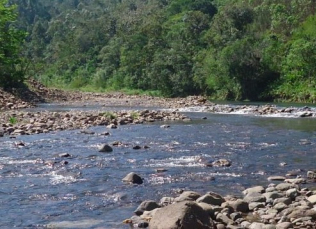 Notícia - [Áudio] Barragem do Rio do Salto: entraves ambientais e falta de prioridade da Casan, aponta deputado
