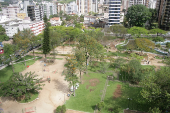 Notícia - Peixes aparecem mortos em lago da Praça do Congresso