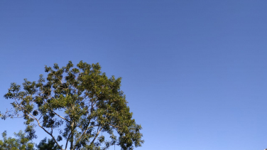 Notícia - Domingo de sol e chuvas de verão no sul catarinense 