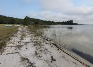 Notícia - Seca nas lagoas do Rincão: IMA sugere comporta definitiva para regular nível da água