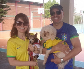 Notícia - Eleições 2024: Pets na eleição: pode ou não pode?