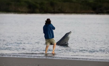 Notícia - [Áudio] Botos voltam a aparecer na foz do Rio Araranguá