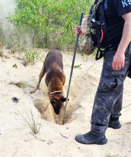 Notícia - Corpo encontrado em Balneário Rincão ainda não foi identificado