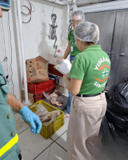 Notícia - MPSC Interdita açougue e apreende quase uma tonelada de produtos em Jaguaruna
