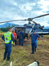 Notícia - Atacado por marimbondos, homem é socorrido de helicóptero em Nova Veneza