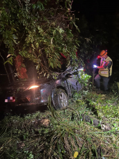 Notícia - Saída de pista deixa dois mortos em Orleans