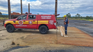 Notícia - Corpo de Bombeiros encerra buscas por idoso desaparecido em Forquilhinha