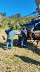 Notícia - Homem é hospitalizado após ser atingido por árvore