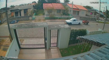 Notícia - Atropelamento de cachorro vira caso de polícia em Araranguá 