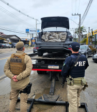 Notícia - Delegado acredita em corredor de drogas entre Brasil e Uruguai após apreensões de skunk