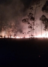 Notícia - Incêndio mobiliza bombeiros por mais de quatro horas em Araranguá