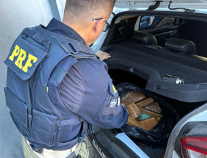 Notícia - Motorista é preso com 11 quilos de maconha na BR-101 em Tubarão