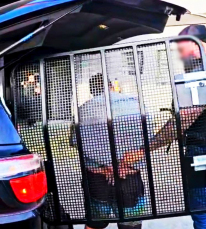 Notícia - [Vídeo] Operação Rotativo: jovem é preso após assalto com arma de fogo em empresa de estacionamento