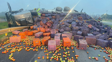 Notícia - Caminhão de tomates tomba e interrompe trecho da BR-101 em Sangão