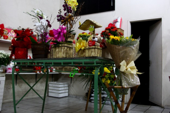 Notícia - Em meio às flores, a boa memória de dona Iva