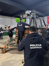 Notícia - Queda do balão: Veja imagens da reconstituição do acidente