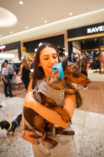 Notícia - Encontro de Salsichas & Beagles reúne pets, atividades e adoção no Nações Shopping