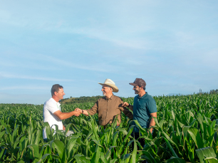 Notícia - Plano Safra 2025/2026 disponibiliza R$ 68 bilhões para fortalecer a agricultura familiar e produtiva