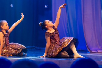 Notícia - Espetáculo de ballet e encontro de Spitz Alemão agitam Criciúma no fim de semana