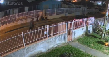 Notícia - Polícia Civil conclui investigação sobre roubo de veículo com sequestro em Criciúma