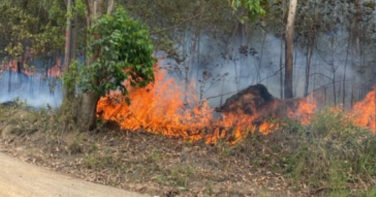 Notícia - Incêndio em vegetação atinge 12 mil m² e ameaça casas em Sangão