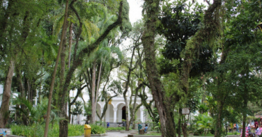Notícia - Bolo de 146 quilos marca aniversário da colonização de Criciúma