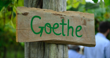 Notícia - Entre fé, vinho e cultura, Vindima Goethe celebra identidade regional