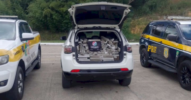 Notícia - Santa Catarina registra mais de 17,6 toneladas de maconha apreendidas nas rodovias em 2025