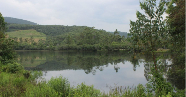 Notícia - Justiça Federal libera obras em áreas da ACP do Carvão