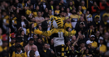 Notícia - Criciúma x Brusque: em casa, Tigre briga pela melhor campanha do Catarinense