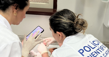 Notícia - Documento já no nascimento: SC avança na emissão da Carteira de Identidade Nacional nas maternidades 