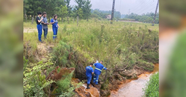 Notícia - 20 áreas mapeadas colocam SC no radar nacional das terras raras