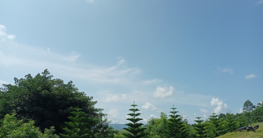 Notícia - Calor de 36°C marca início da semana em Criciúma