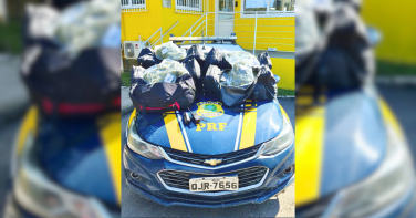 Notícia - Cheiro de droga entrega motorista e PRF apreende 24 quilos de skunk na BR-101