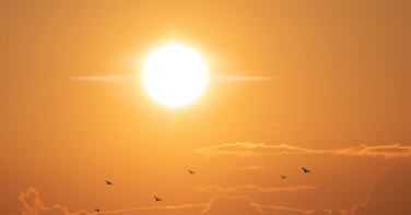 Notícia - Calorão persiste e sensação térmica pode chegar perto dos 50°C em cidade de SC