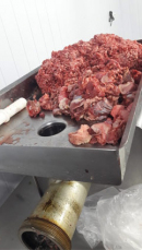 Notícia - Frigorífico é suspeito de misturar carne de cavalo no preparo de hambúrgueres