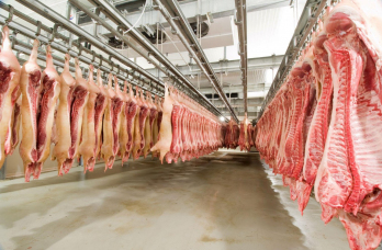 Notícia - ((Áudio)) SC é o maior exportador de carne suína do Brasil