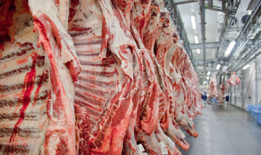 Notícia - Bloqueio europeu à carne brasileira pode afetar Santa Catarina?
