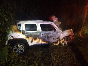 Notícia - Criciúma: motorista é retirada de carro em chamas após colidir contra árvore