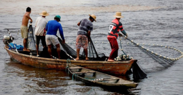 Notícia - Colônia Z-33 articula investimentos em crédito e infraestrutura para pescadores de Balneário Rincão