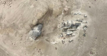 Notícia - Maré expõe novamente carcaça de baleia-jubarte enterrada em praia de SC