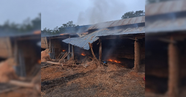 Notícia - Incêndio atinge depósito de pó de serra e mobiliza bombeiros em madeireira de Urussanga
