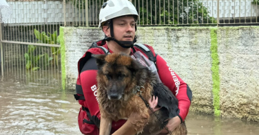 Notícia - Chuva em SC: temporal alaga ruas, suspende aulas e afeta serviços; acompanhe em tempo real