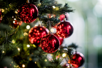 Notícia -  Centro Espírita Círculo da Luz visa beneficiar 250 famílias carentes com ação de Natal 