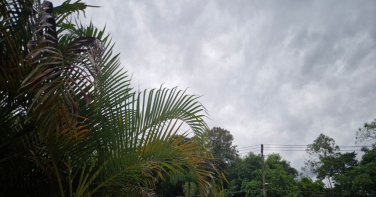 Notícia - Domingo será de chuva, vento e temperaturas baixas em Criciúma
