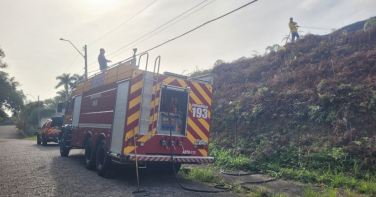 Notícia - Incêndio em vegetação causa fumaça densa no centro de Criciúma