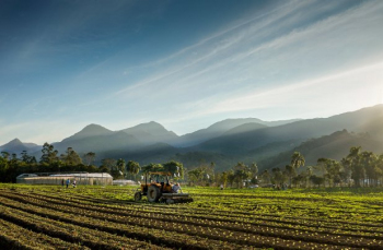 Notícia - Agro catarinense fecha 2024 com R$ 63,7 bilhões e exportações recordes