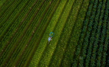 Notícia - Estado alcança o maior valor de produção agropecuária da história