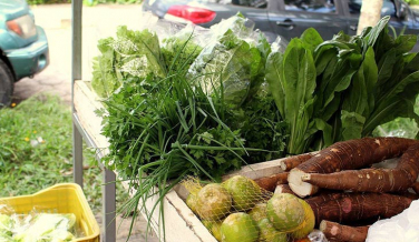 Notícia - Produtos da agricultura familiar ganham espaço no centro de Criciúma